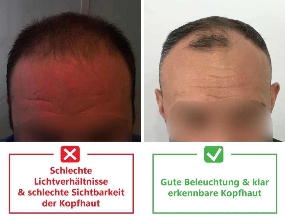 Descriptive Text for Image