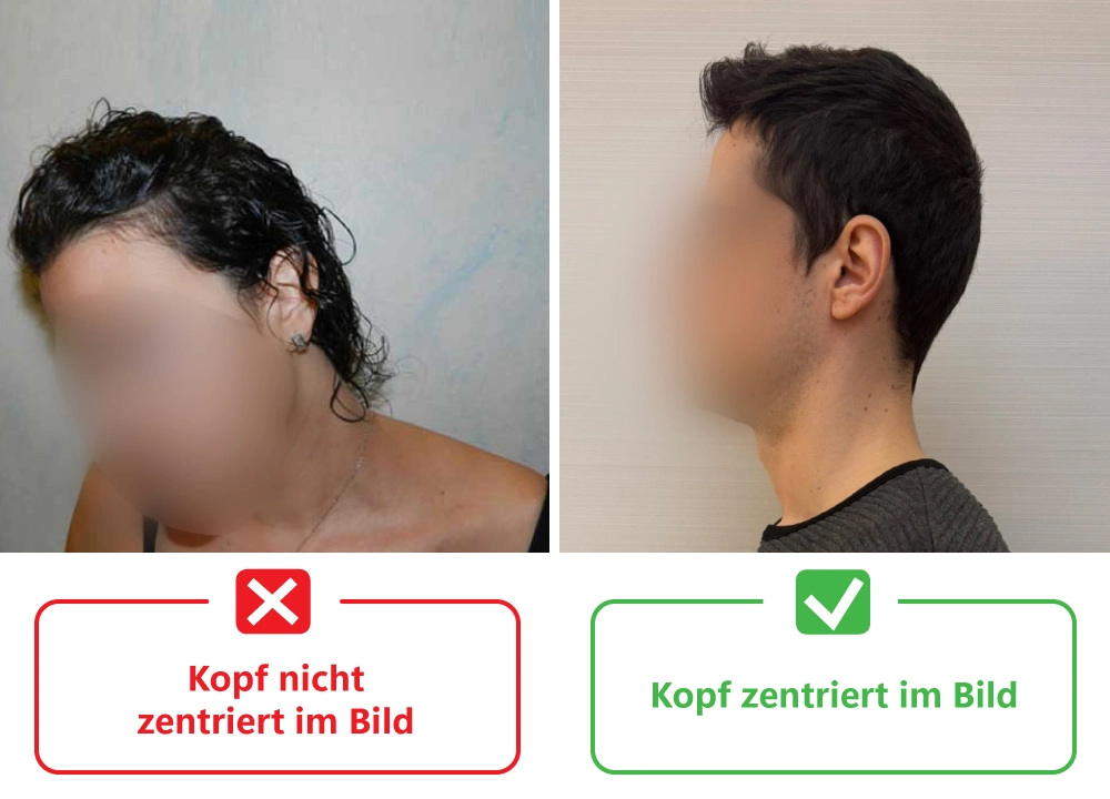 Descriptive Text for Image