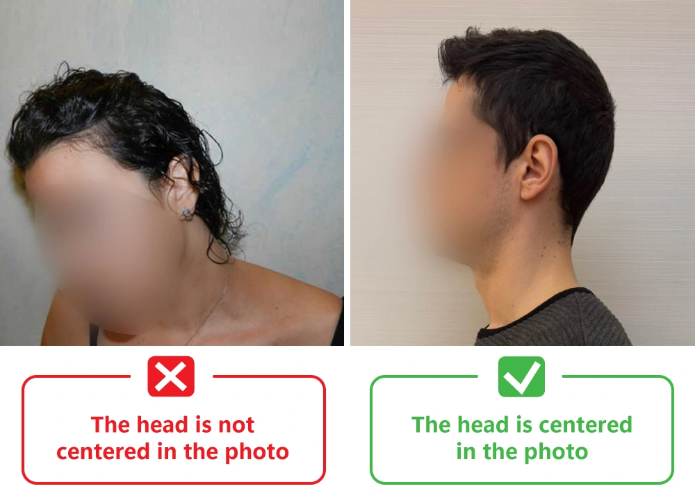 Descriptive Text for Image