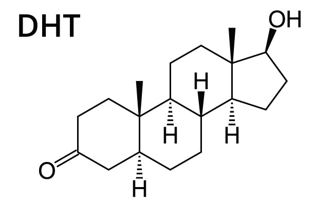 Ο χημικός τύπος της DHT (Διυδροτεστοστερόνη )