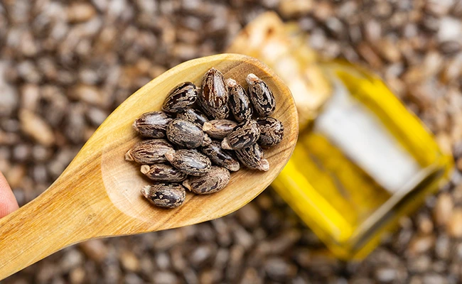 Καστορέλαιο η φυσική θεραπεία για τα μαλλιά