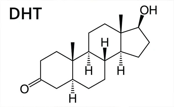 Η DHT αποτελεί μία ορμόνη που διαδραματίζει σημαντικό ρόλο στην εμφάνιση της τριχόπτωσης